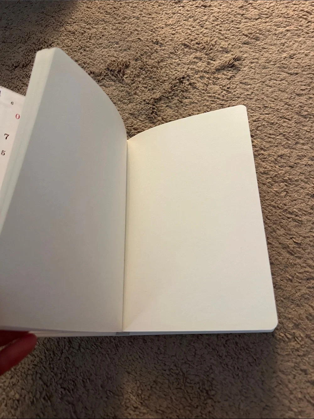 DRAW BOOK